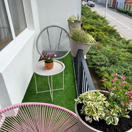 Apartment Flauta
