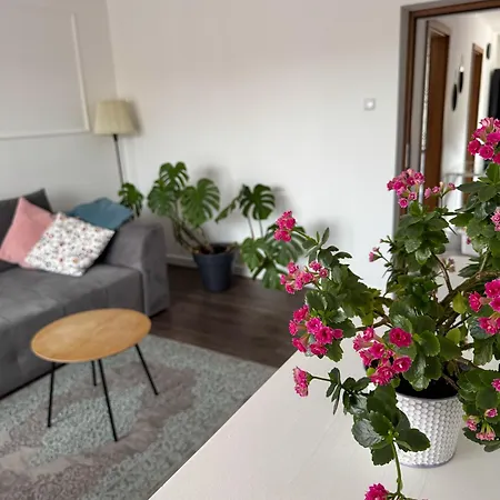 Apartament Flauta